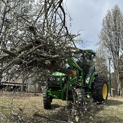 Land Management